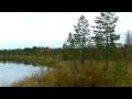 Рыбалка на озере осенью.  Архангельская область. Fishing on the lake in the fall.