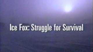 Ice Fox: Struggle for Survival (1993)