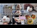 PORANNA RUTYNA Z MOJĄ ŚWINKĄ MORSKĄ🐷🥗