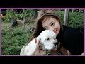 Fans Claimed Jennie Named Her Dog After Kai…But Here’s The Full Story