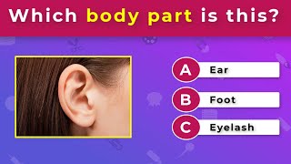 EASY ENGLISH QUIZ | BODY PARTS | ESL GAMES