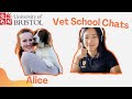 Vet School Chat: Bristol vet student Alice