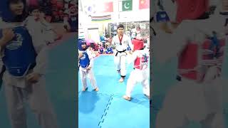 amazing strong kid power of side kick knockout taekwondo martialarts selfdefense