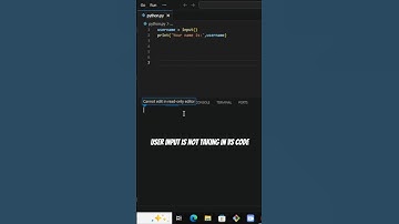 Fix VS Code Not Taking User Input in Python ⚙️ | #VSCode #Python #CodingTips #ProgrammingShorts