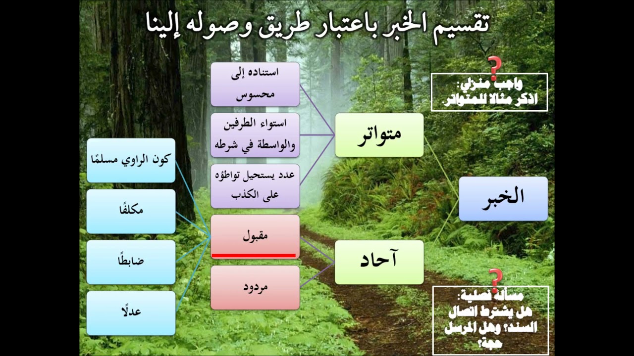 تقسم الخبر باعتبار وصوله إلينا | الآحاد | عامر بهجت