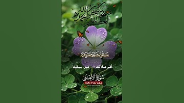 تلاوة خاشعة عطرة مباركة جميلة عذبة للشيخ ماهر المعيقلي ماتيسر من سورة الأعلى