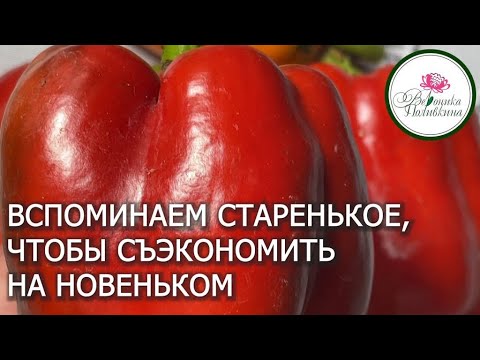 Готовимся к следующему сезону в режиме экономии