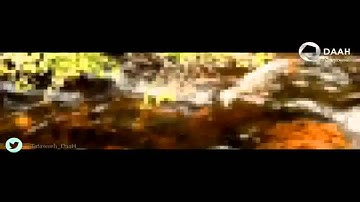 سورة الانعام للشيخ ناصر القطامي رمضان 1436