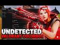 I Tried The Best Valorant Colorbot... The Results Were Insane