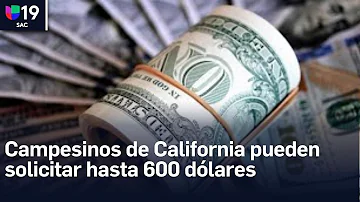 ¿Cómo cobrar los 600 dólares en California?