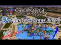 "Albatros Aqua Park" (Шарм) ПОЛНЫЙ ОБЗОР  - ТЕРРИТОРИЯ, ГОРКИ, НОМЕР, ПЛЯЖ, РЫБКИ, ШВЕДСКИЙ СТОЛ.