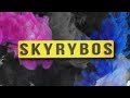 Skyrybos 2020-01-16