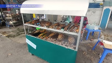 Lò Nướng Vịt 2 Tầng 10 Xiên LNV2T10