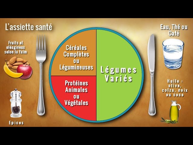 Repas équilibré : 8 règles d'or pour composer une assiette minceur sans  faute : Femme Actuelle Le MAG