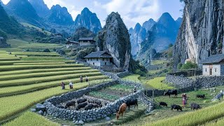 Hidden Mountain Village Near Vietnam–China Border | Everyday Life Above the Clouds