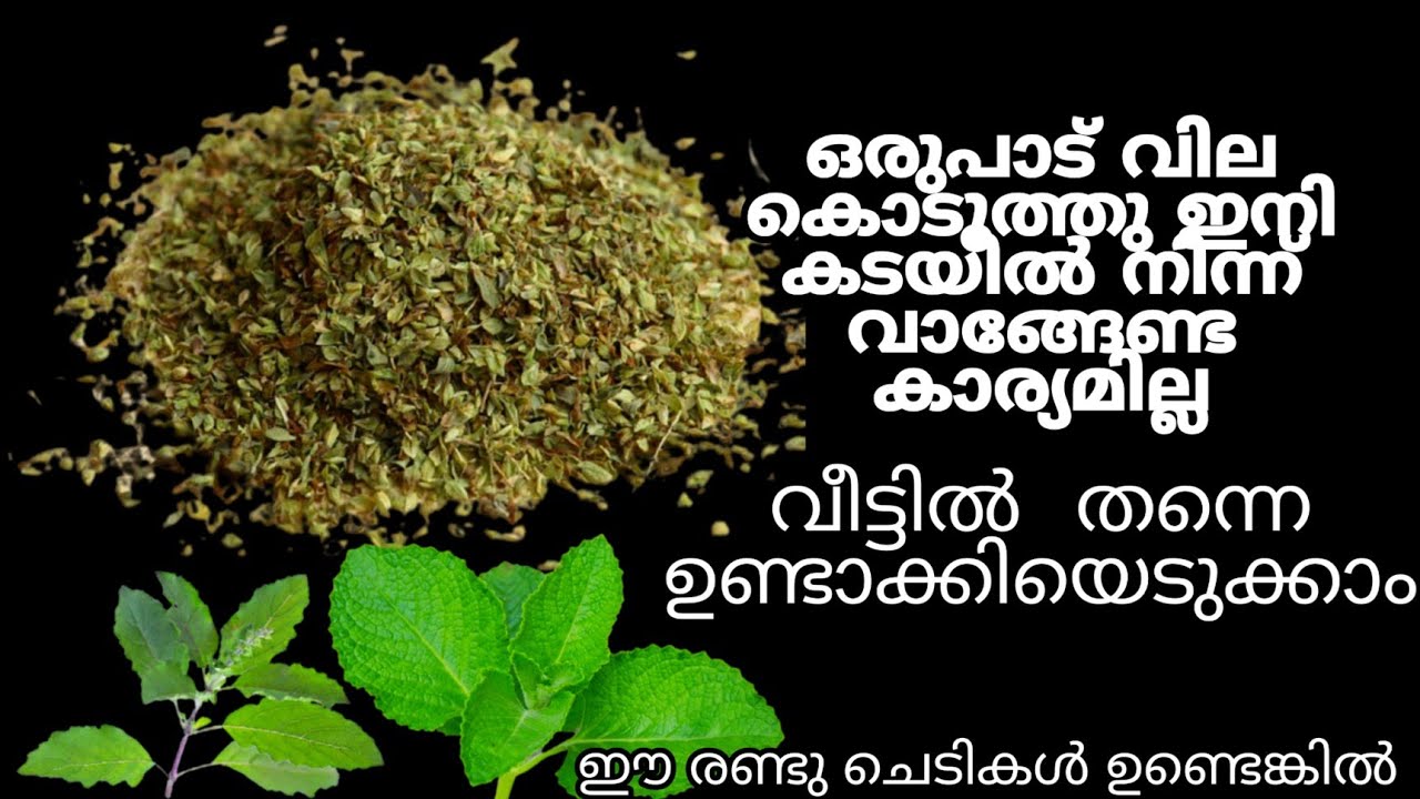 How to make Oregano At Home/Oregano/oregano Recipes/TravelLoversbymunna