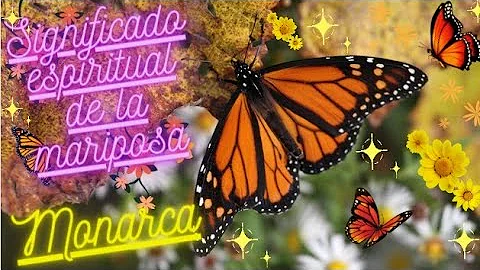 ¿Es negra una mariposa monarca?