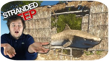 STRANDED DEEP Gameplay Part 7: GREAT WHITE HUNTING, HOME BUILDING, FLARE BUDDY