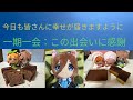 【プロスピA】チャンネル登録50人記念配信🍊🍇~皆さんに感謝~