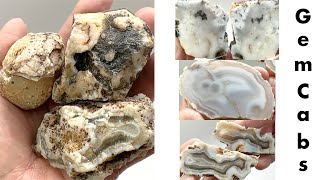 Group of Gila Bend Arizona Agate Nodules Cut Open to Reveal the Beauty Inside 14