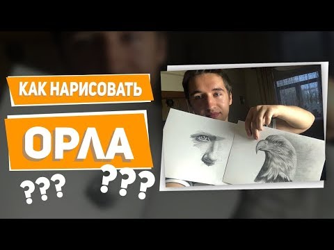 Рисуем орла