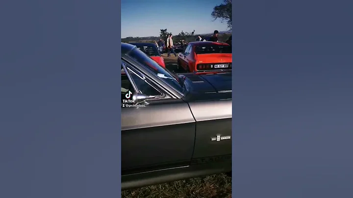 highlights of the year#ford #v8#eleanor #gonein60s...