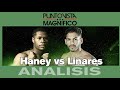 Devin Haney vs Jorge Linares en El Punto de Vista Magnífico