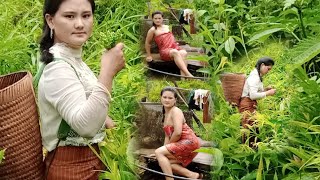 Nkaujntxawm Yaj Channel Mu Luaj Qhiav Lo Da Dej Ntxim Hlbhv