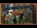 Feuer machen bei Regen | Bushcraftskills | Outdoor | Survival | Tipps für Anfänger