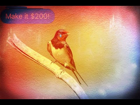 200    الباتشينوا 200 بلبل