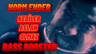 NORM ENDER - KEDİLER ASLAN OLMAZ (SLOWED+BASS BOOSTED)