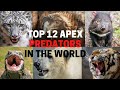 12 Apex Predators In The World - The World’s Top Predators