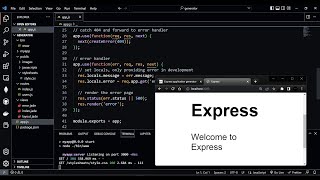 Express.js - Application Generator with the NPX Command. screenshot 1