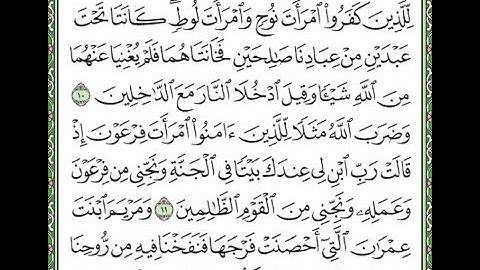 سورة التحريم مكررة الآيات من 10 إلى 12 /Surah At-Tahrim is repeated