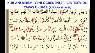 Kuranı Kerimi Yeni Öğrenenler Için Tecvidli Yavaş Okuma Bakara 25.Ayet