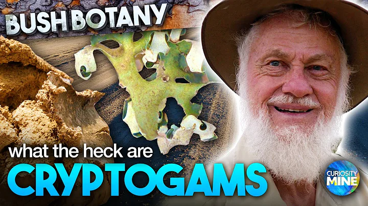 Moss, Algae, Fungus & The Enigma Code - Bush Botan...