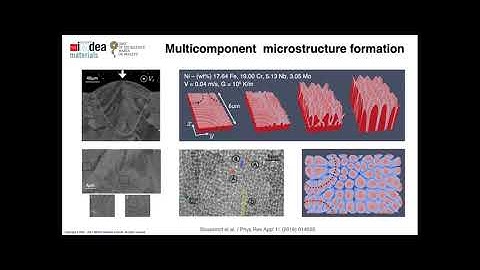 Talk by Dr. Damien Tourret @ Euromech colloquium 613 (July 7 - 9, 2021)