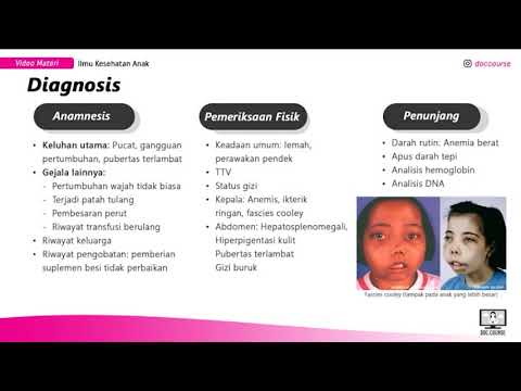 ANAK   Thalassemia