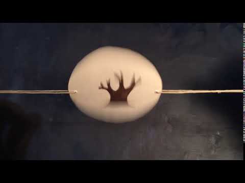 Thaumatrope