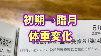 妊婦お腹 Youtube