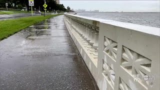 Concerns raised over red tide, dead fish in Tampa Bay