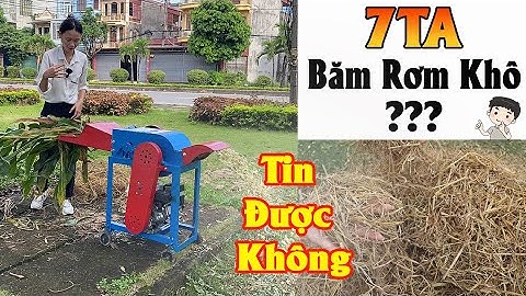 Máy Băm Cỏ 7TA Đầu Nổ Bình Quân Có Thể Băm Rơm Khô ???