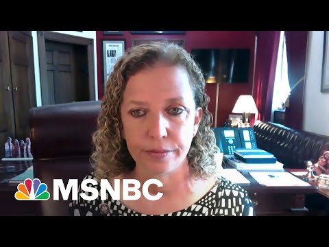 Rep. Debbie Wasserman Schultz On Domestic Terrorism | MSNBC