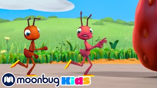 Hotshots | ANTIKS | Moonbug Kids - Funny Cartoons and Animation