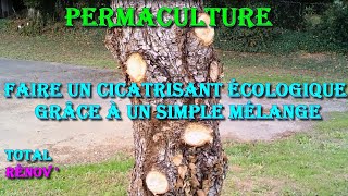 Permaculture : Comment faire un cicatrisant naturel pour arbre grâce à un  simple produit 