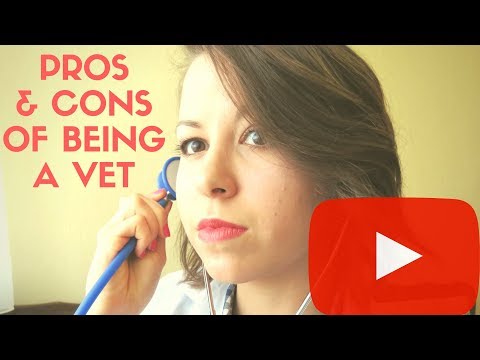 PROS & CONS of being a vet