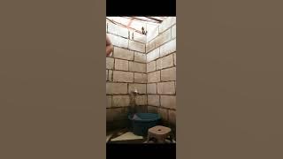 (No bra and no panty ligo)Follow for more video..
