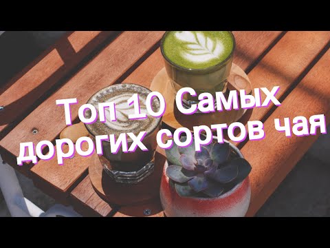 Топ 10 Самых дорогих сортов чая