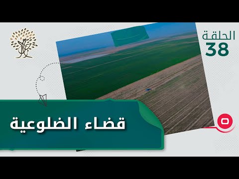 براري الضلوعية منبع الحنطة والشعير رحال م٤ الحلقة ٣٨