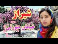 IRAN 2025 🇮🇷 DRIVING TOUR in a Hidden Paradise in Shiraz | راز زیبایی خیابان گلخون شیراز
